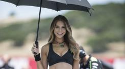 Monster Energy Grid Girl