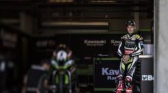 Jonathan Rea - Kawasaki Ninja ZX10-RR